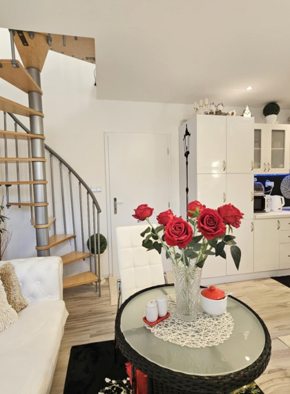 DREVODOM S POZEMKOM - ŤAHANOVCE